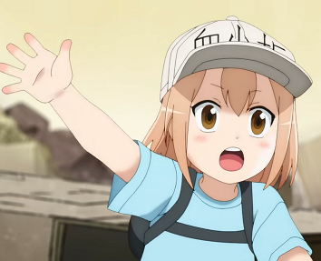 830836@1611676991@2